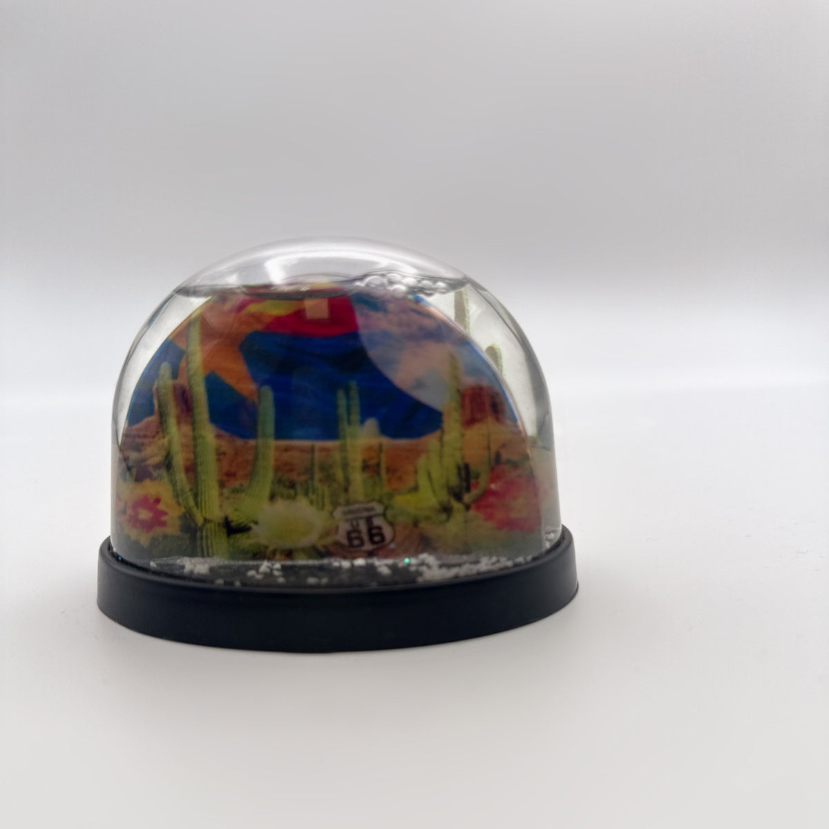 Arizona Route 66 Desert Water Globe