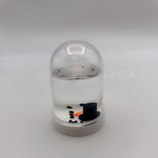 Arizona Snowman Water Globe