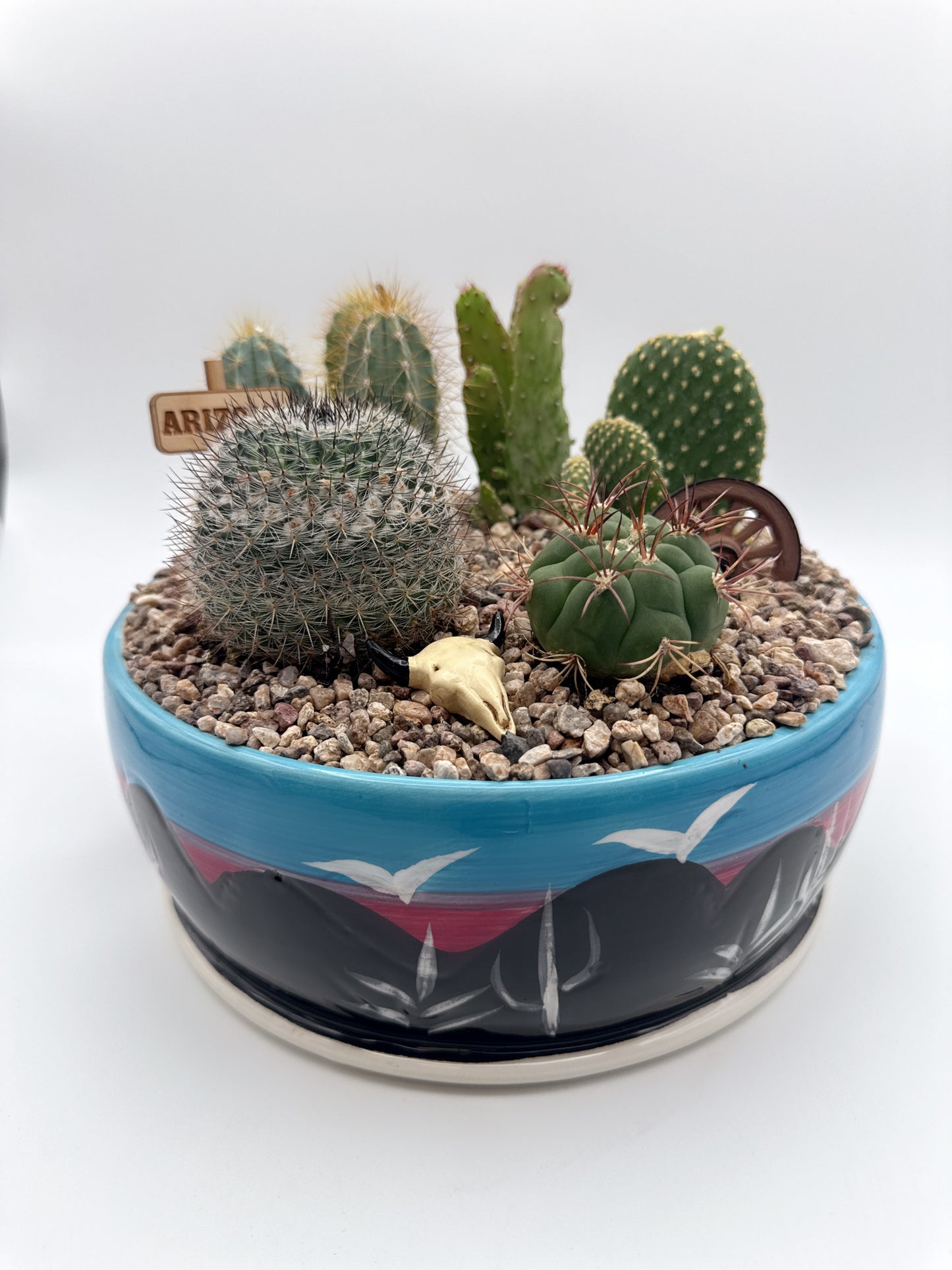 Arizona Cactus Garden Bowl