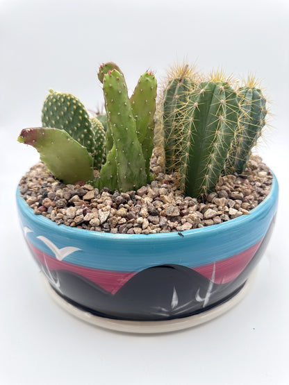 Arizona Cactus Garden Bowl