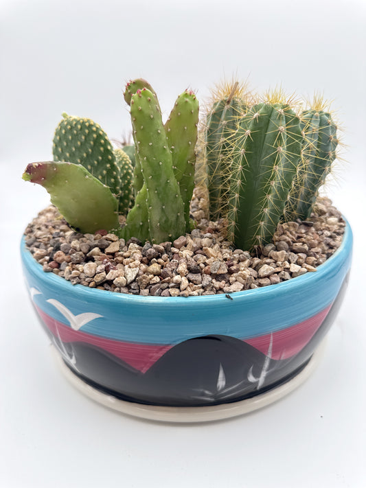 Arizona Cactus Garden Bowl