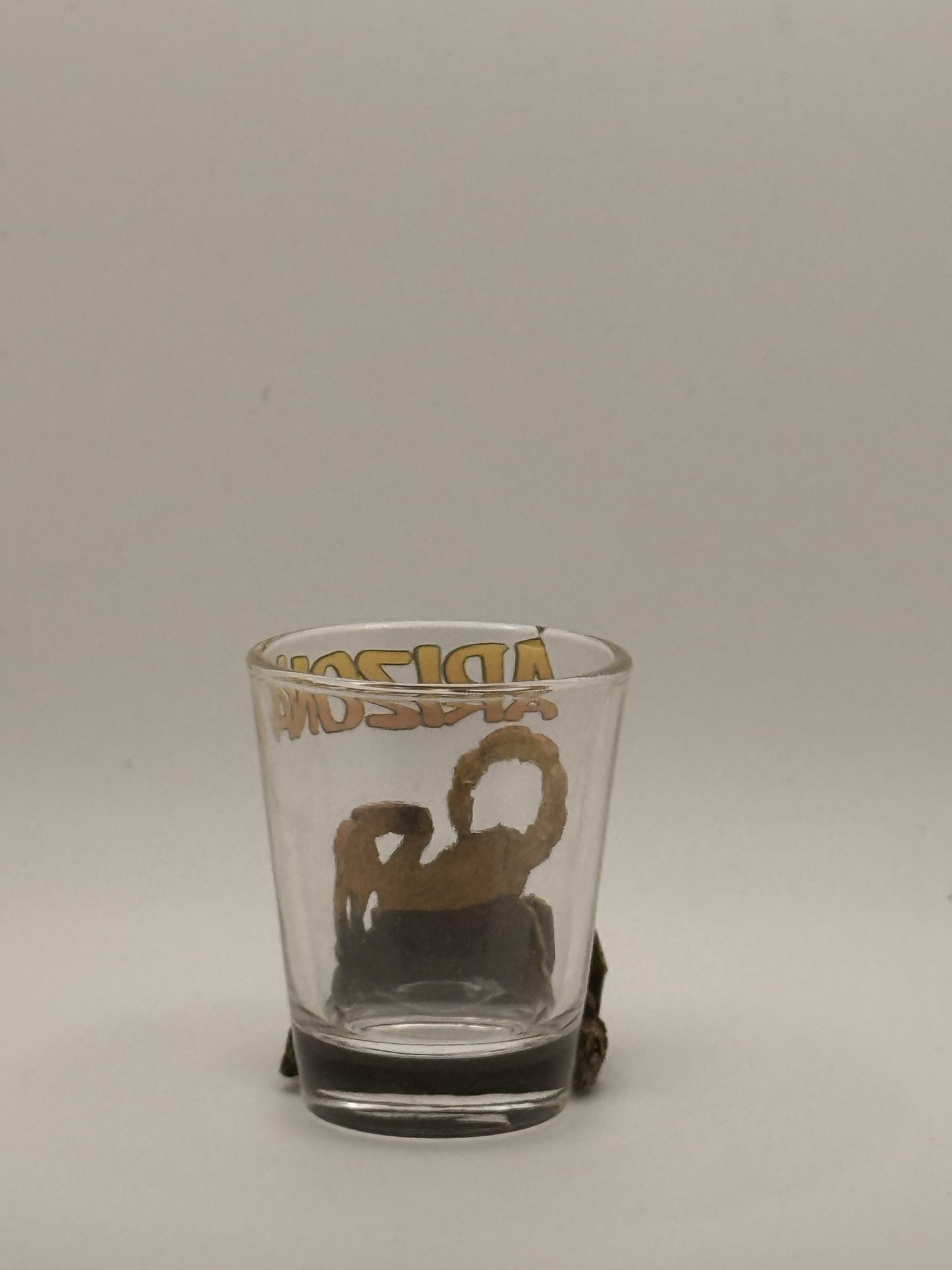 Arizona Scorpion Shot Glass