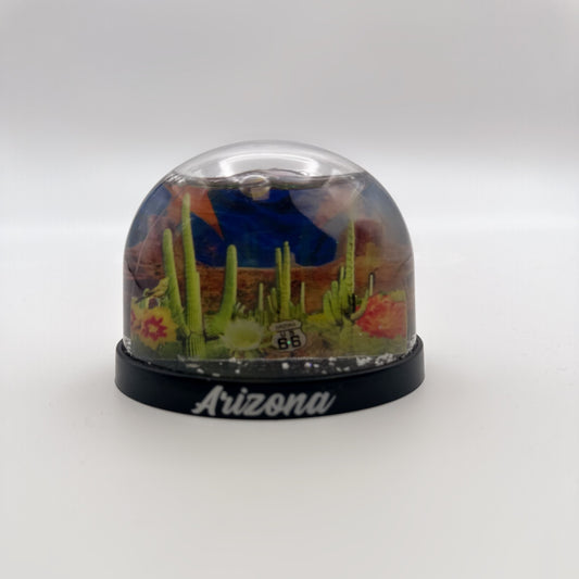 Arizona Route 66 Desert Water Globe