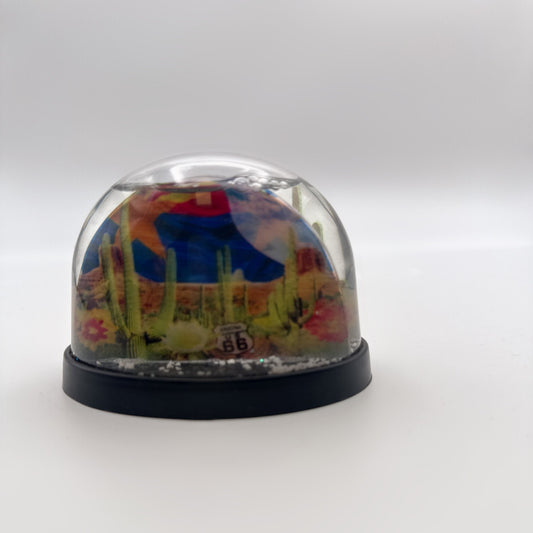 Arizona Route 66 Desert Water Globe