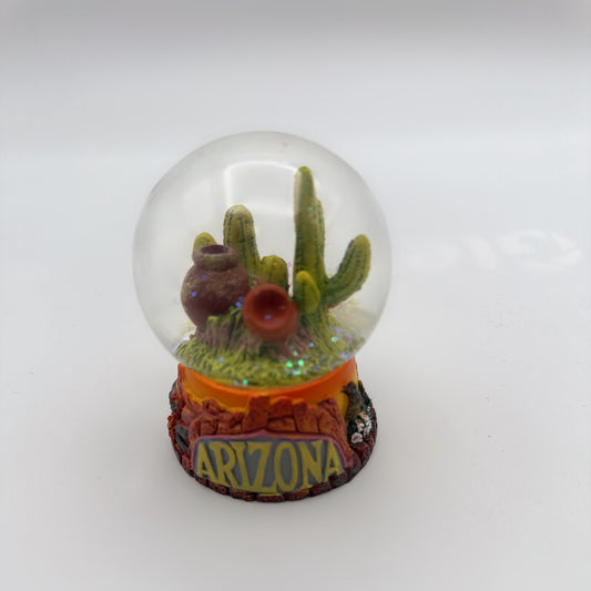 Arizona Desert Cactus Water Globe
