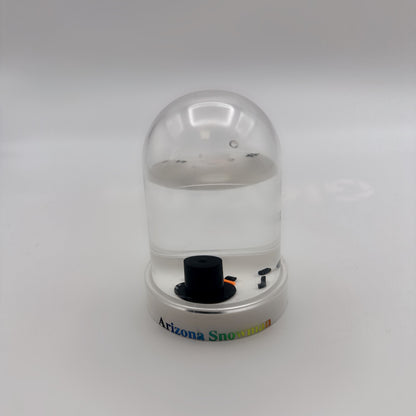 Arizona Snowman Water Globe
